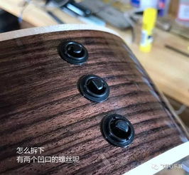 泰勒taylor吉他共振检测 拾音器篇